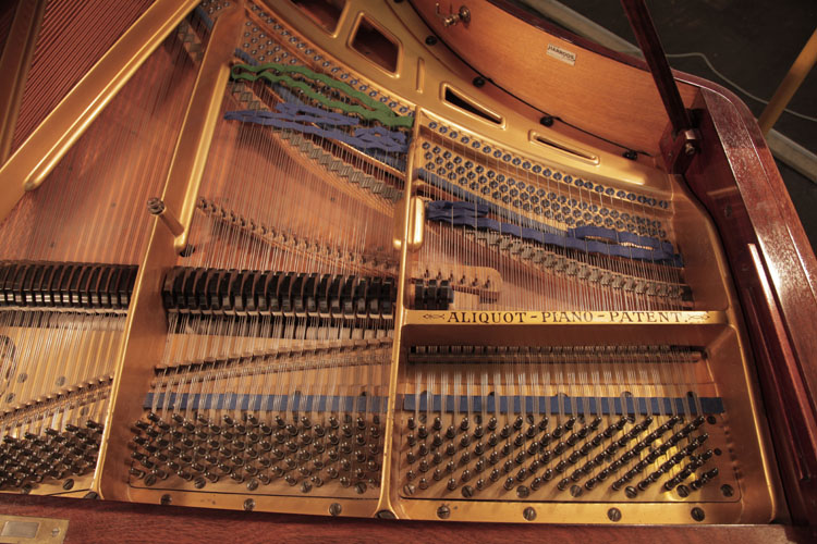 Bluthner instrument