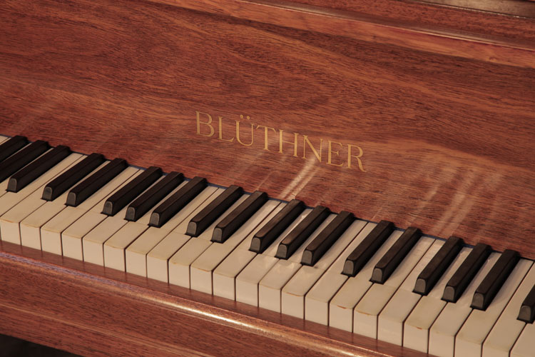 Bluthner manufacturer's name inlaid on fall  