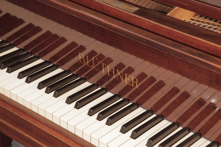 Bluthner manufacturer's name inlaid on fall  