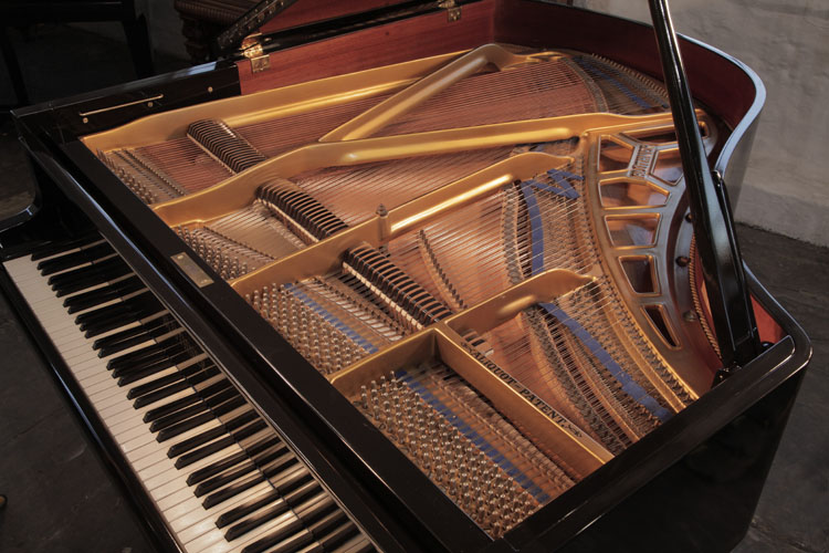 Bluthner  instrument