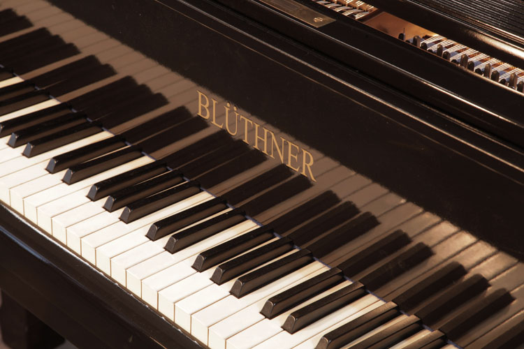 Bluthner manufacturer's name inlaid on fall  