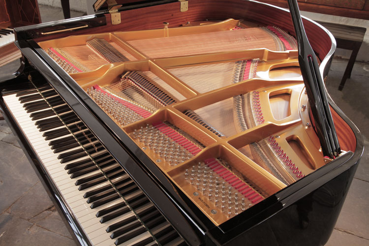 Carl Steinberg Instrument