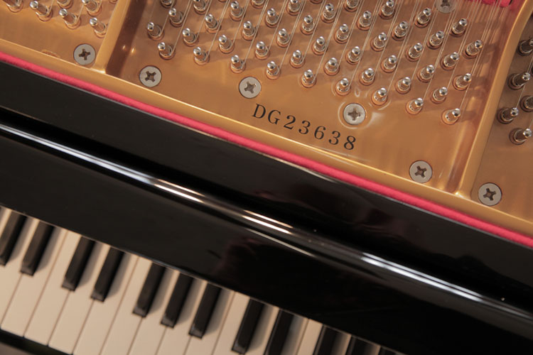 Carl Steinberg piano serial number