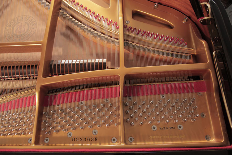 Carl Steinberg instrument