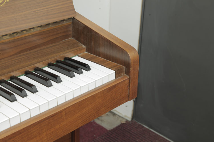 Danemann piano cheek