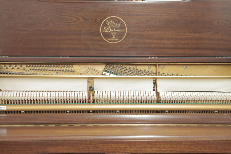 Dietmann instrument
