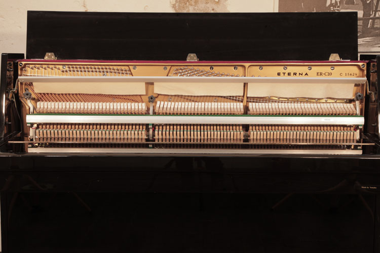 Eterna  instrument