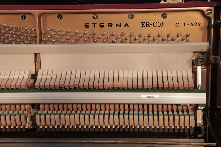 Eterna serial number on frame