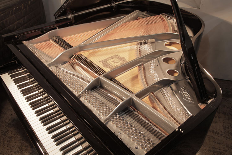 Feurich instrument and gun metal frame 