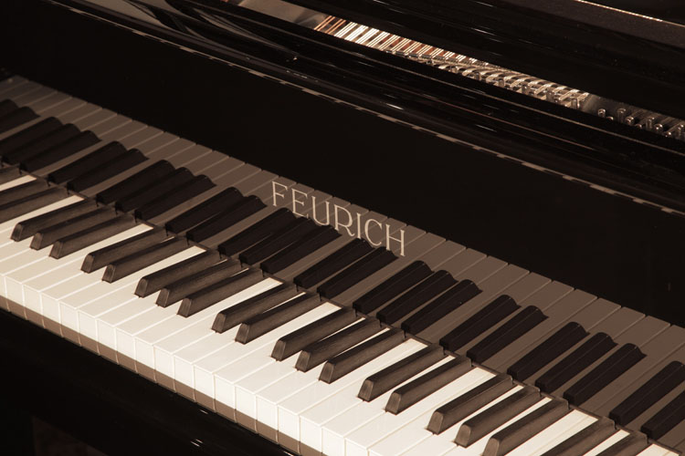 Feurich manufacturer's name on fall