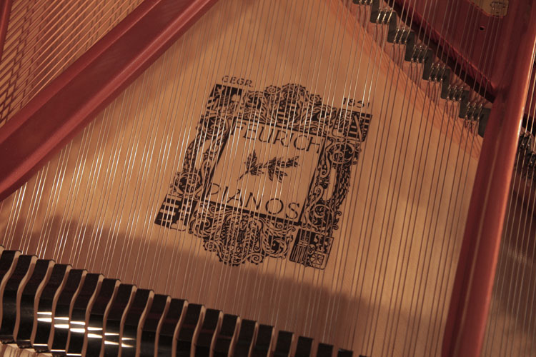 Feurich manufacturers name on soundboard