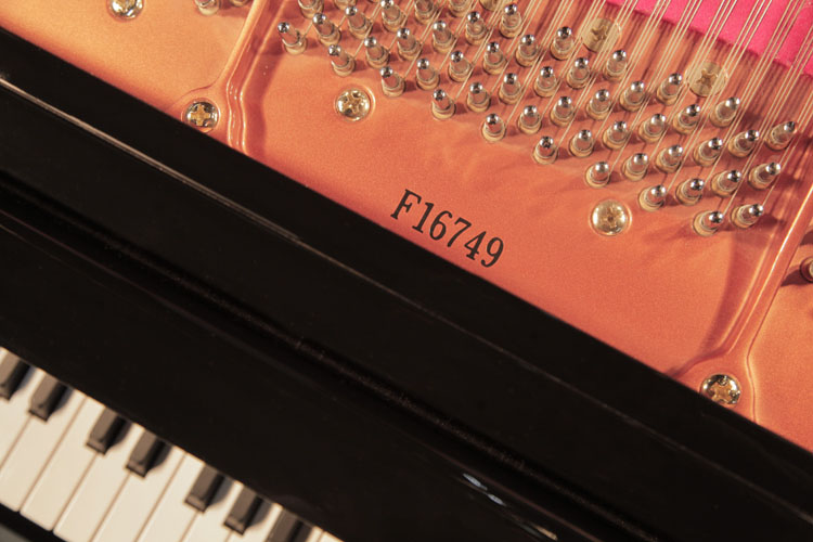 Feurich piano serial number