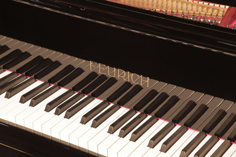 Feurich manufacturers name on fall