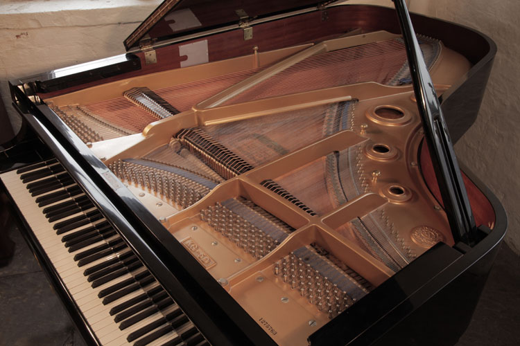 Kawai  instrument