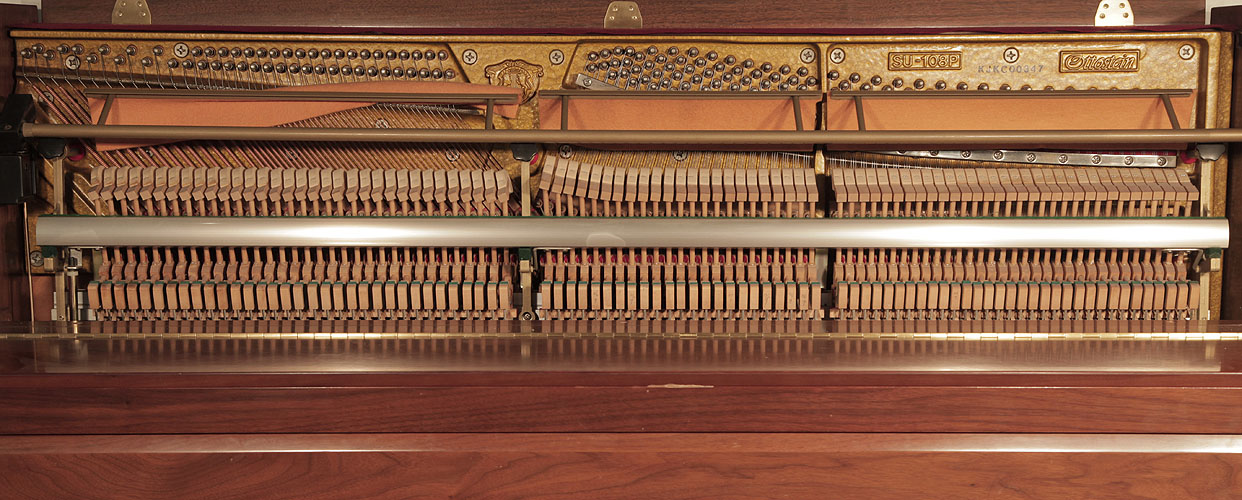 Ottostein instrument