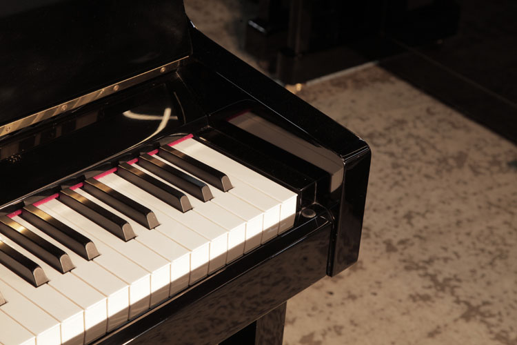 Perzina piano cheek