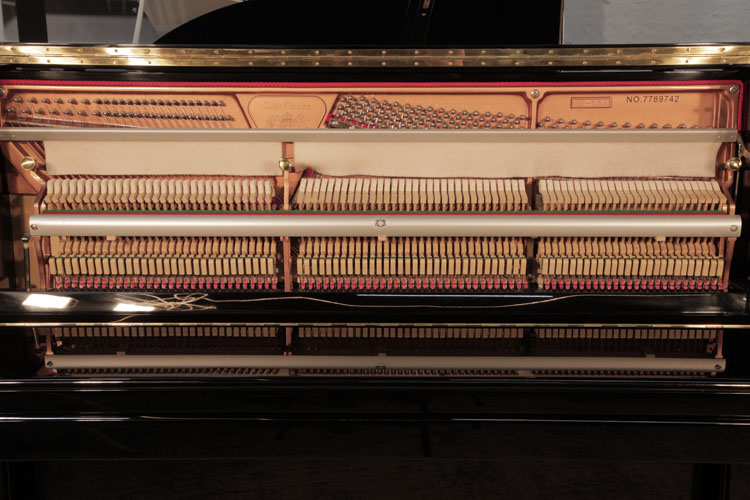 Perzina instrument
