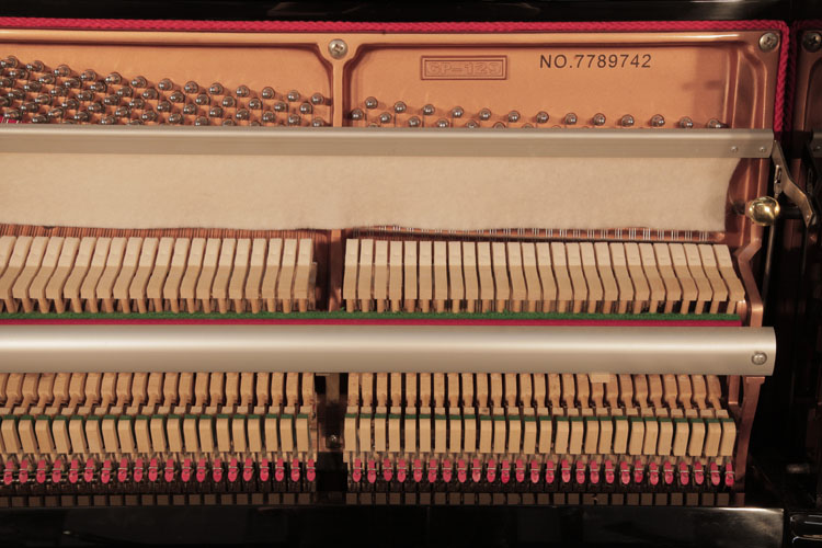 Perzina serial number on frame