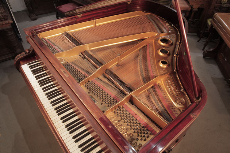 Schiedmayer    instrument