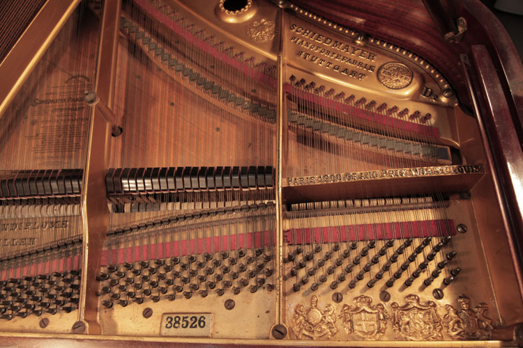 Schiedmayer instrument