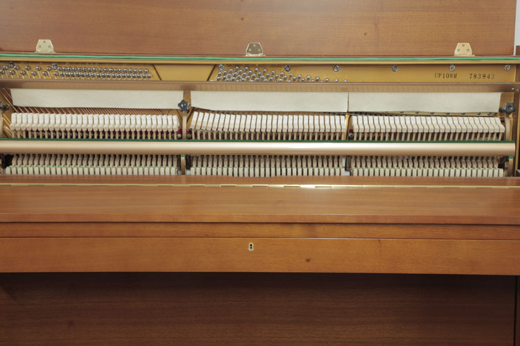 Steinbach instrument