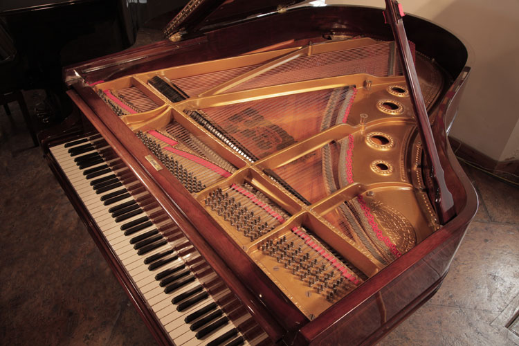 Steinway  instrument  