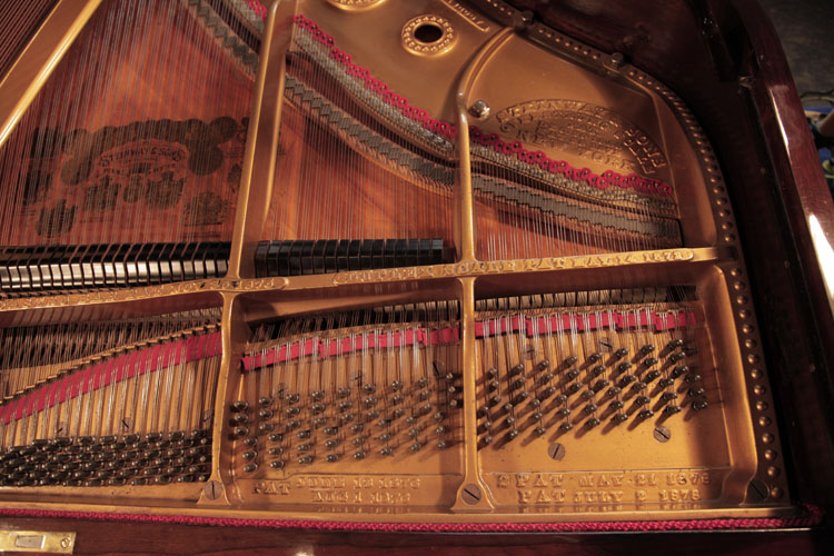 Steinway instrument