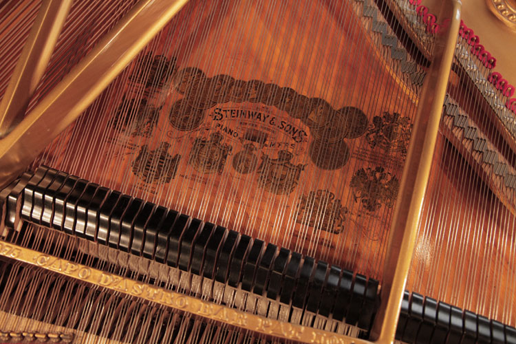 Steinway decal on soundboard
