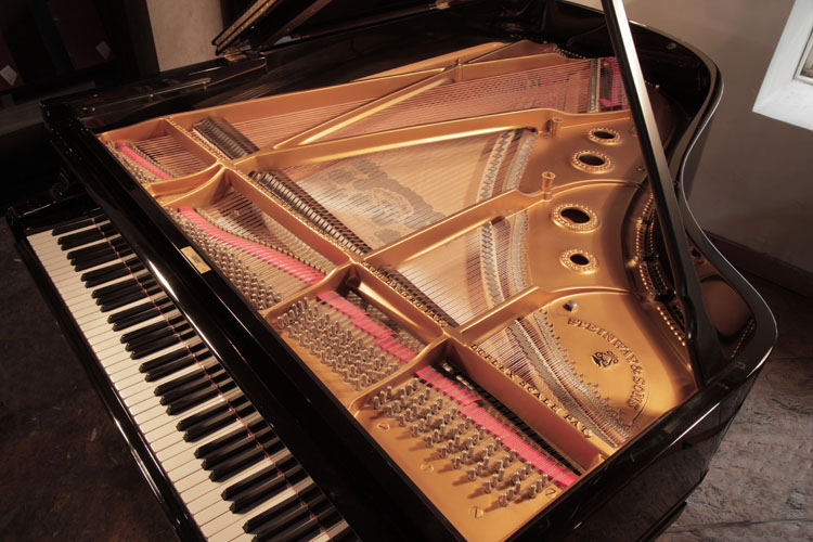 Steinway  instrument  