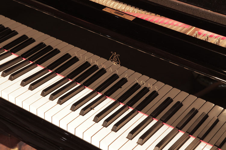 Steinway manufacturer's name  on fall