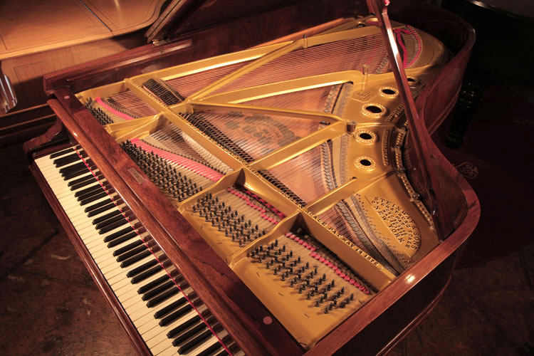 Steinway   instrument  