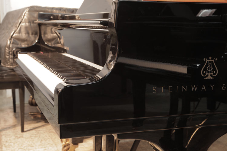 Steinway Model D piano cheek with  logo 