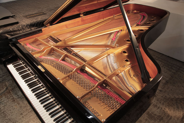 Steinway  instrument 