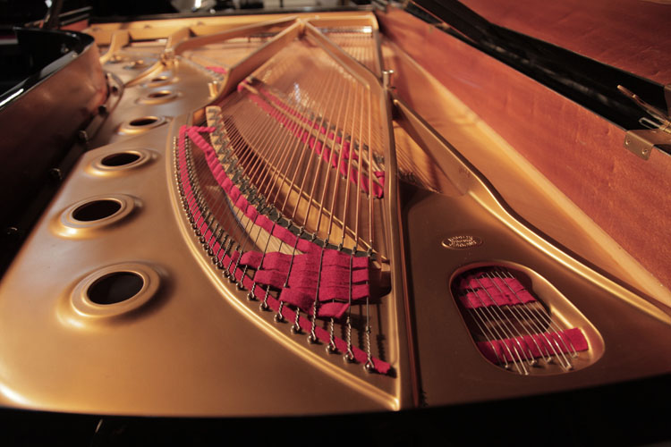 Steinway instrument