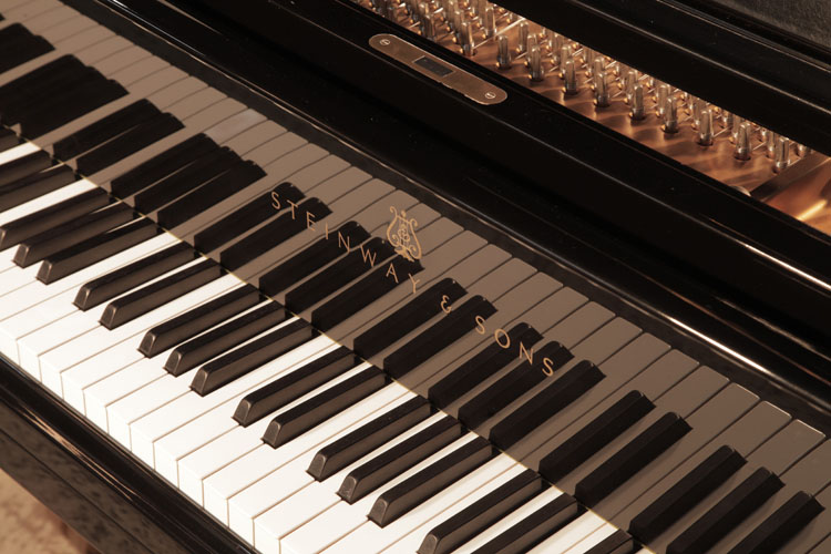 Steinway manufacturer's name inlaid on fall