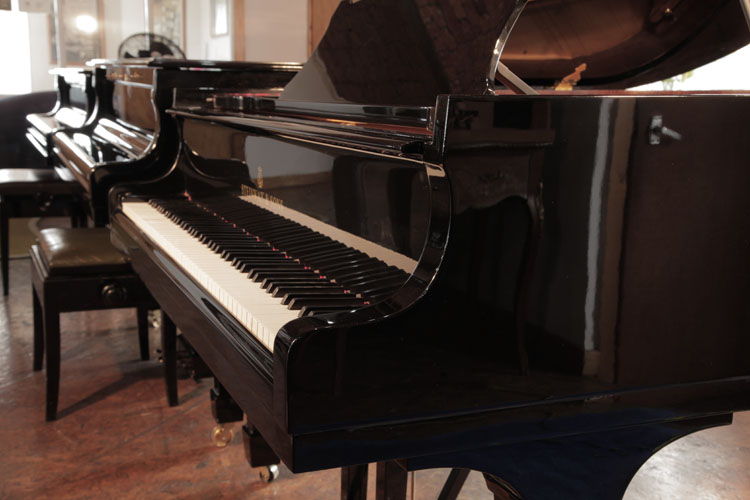 Steinway piano cheek