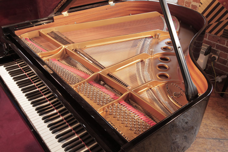 Steinway  instrument  