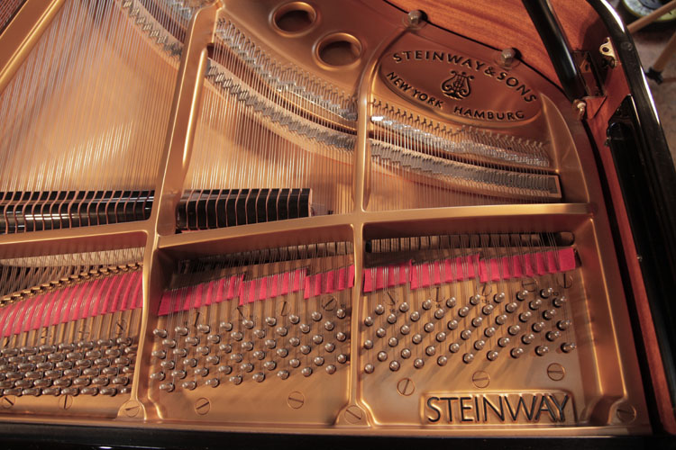 Steinway    instrument
