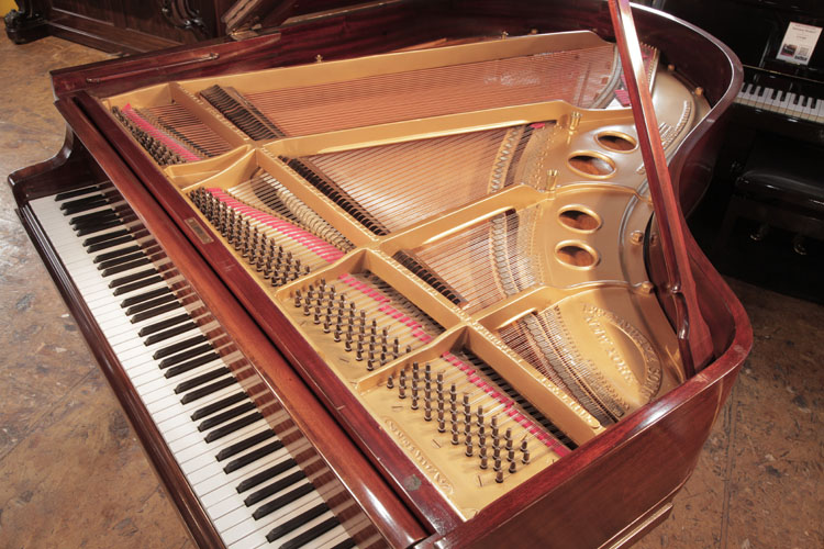 Steinway  instrument  