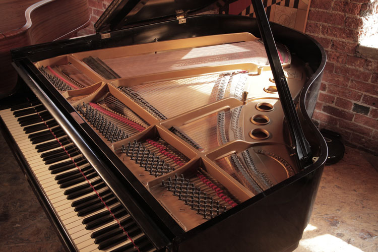 Steinway instrument 