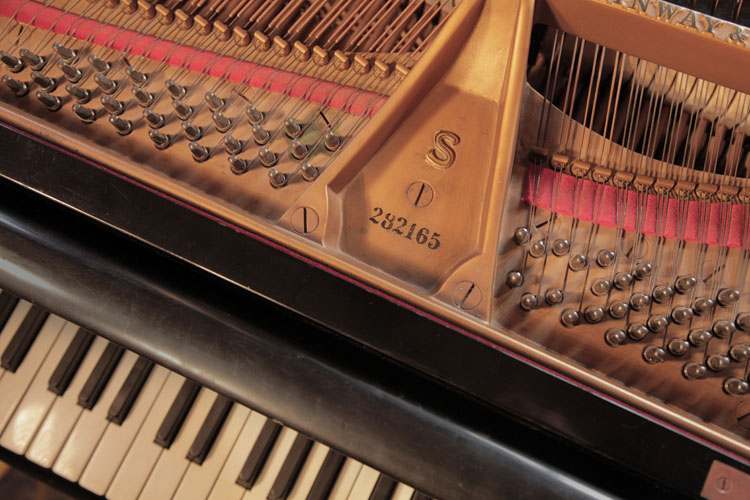 Steinway  piano serial number
