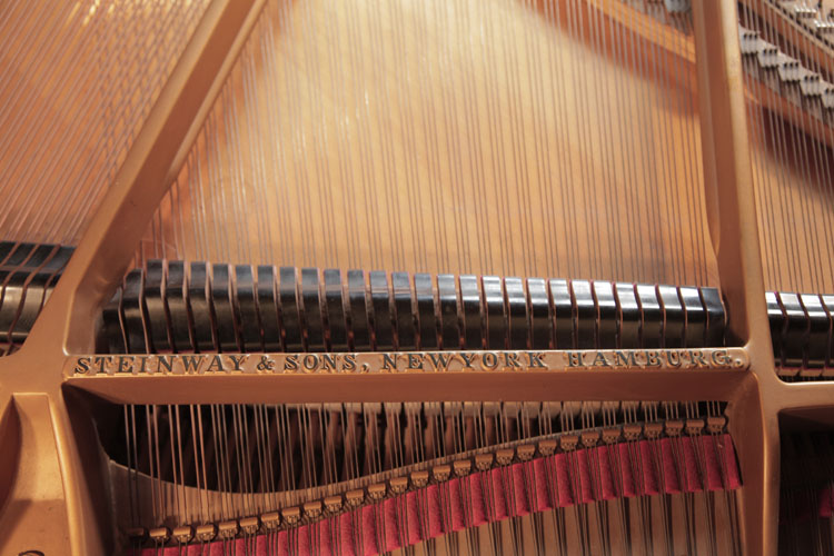 Steinway manufacturer's name on frame