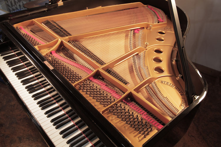 Steinway instrument 