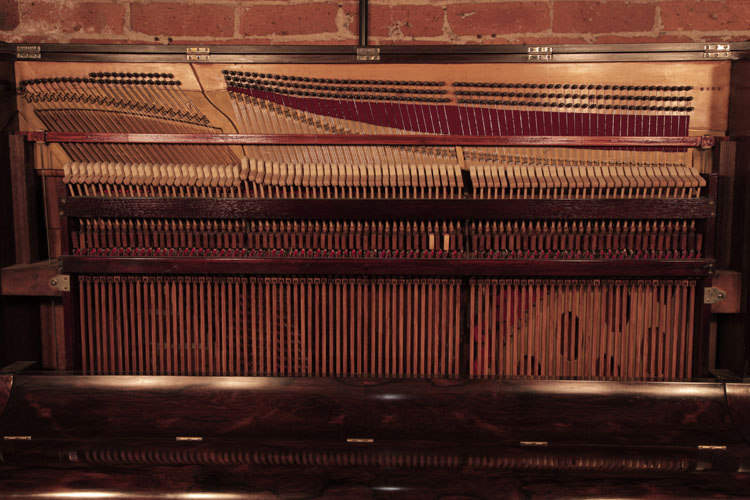 Steinway   instrument