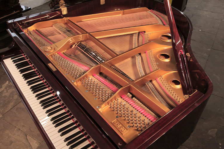 Weber  G-150 Instrument