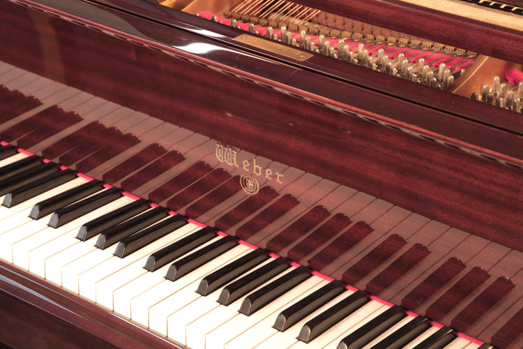  Weber  manufacturers name on fall