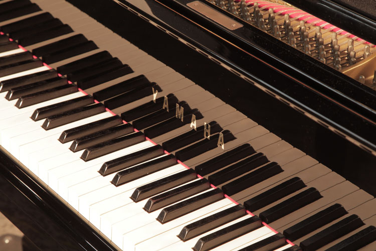 Yamaha C3 manufacturers name on fall