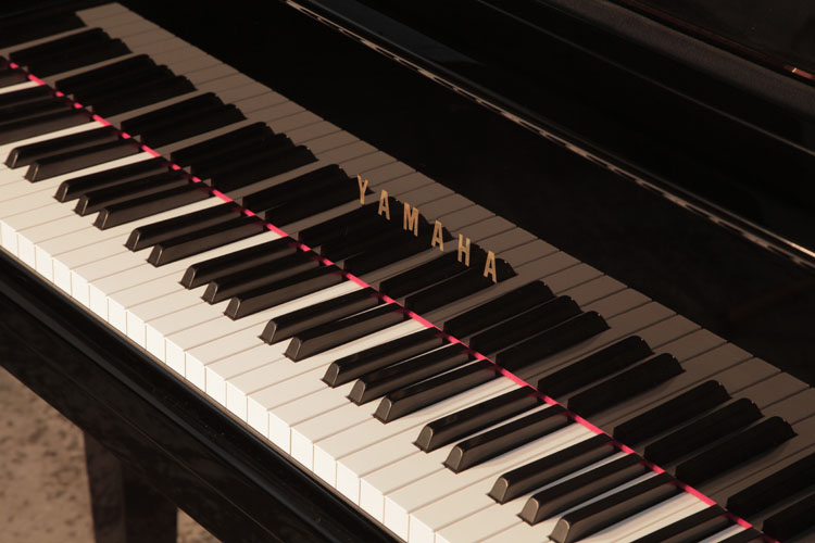 Yamaha GB1 manufacturers name on fall