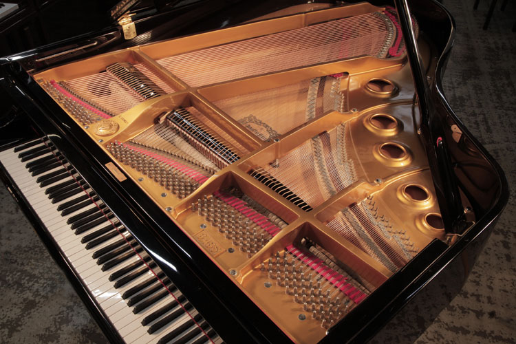 Young Chang instrument