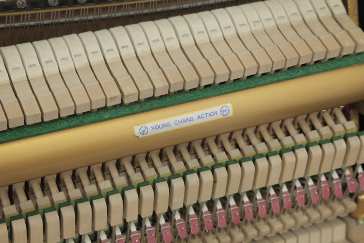 Young Chang U-109 piano action